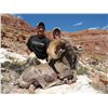 Image 4 : Utah Govenor's Desert Bighorn Permit