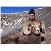 Image 2 : Taos Pueblo Rocky Mountain Bighorn Sheep