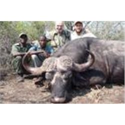 10-Day Cape Buffalo