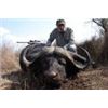 Image 2 : 10-Day Cape Buffalo