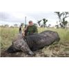 Image 3 : 10-Day Cape Buffalo