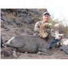 Image 2 : Arizona Desert Bighorn Sheep Permit