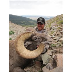 Colorado Bighorn Sheep Permit