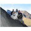 Image 8 : 12-Day Dall's Sheep Hunt for 1 Hunter