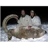 Image 2 : 8-10 Day Marco Polo/Mid-Asian Ibex Hunt for 1 Hunter in Kyrgyzstan