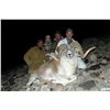 Image 4 : 8-10 Day Marco Polo/Mid-Asian Ibex Hunt for 1 Hunter in Kyrgyzstan