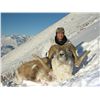 Image 7 : 8-10 Day Marco Polo/Mid-Asian Ibex Hunt for 1 Hunter in Kyrgyzstan