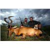 Image 3 : 6-Day Oryx and Hartebeest Hunt for 1 Hunter & 1 Non-Hunter in Namibia