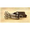 Image 1 : Solid Silver Mexican Spurs