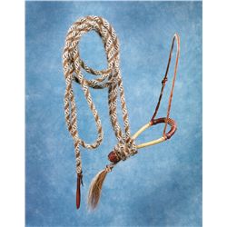 Fancy Luis B Ortega Hackamore from the 2003 Bobby Ingersoll Sale