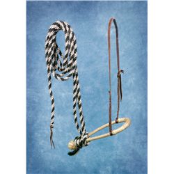 Mehl Lawson Hackamore