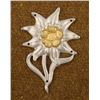 Image 1 : WWII NAZI EDELWEISS CAP DEVICE FOR MOUNTAIN TROOPS