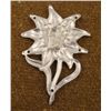 Image 2 : WWII NAZI EDELWEISS CAP DEVICE FOR MOUNTAIN TROOPS