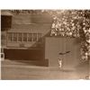 Image 1 : Willie Mays Signed ''Catch'' Photo