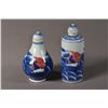 Image 1 : Pair Kangxi Mark BW Snuff Bottles Red Fish & Waves