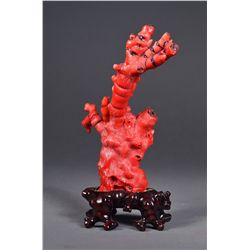 Chinese Red Coral Naturalistic Tree Form