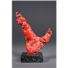 Image 1 : Chinese Red Coral Naturalistic Tree Form