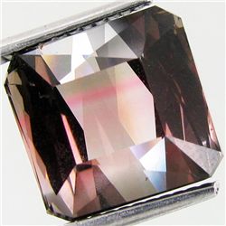 9.3ct Top Lustre Water Melon Tourmaline   (GEM-28511)