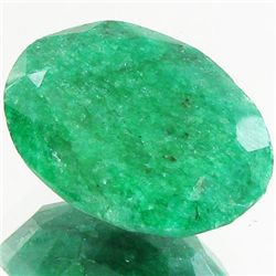 22.12ct Excellent Oval Cut S. American Emerald (GEM-21682)