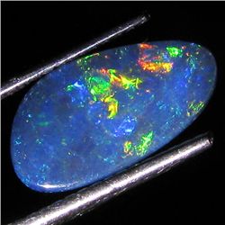 1.52ct Australian Black Opal Doublet Full Fire (GEM-36109)