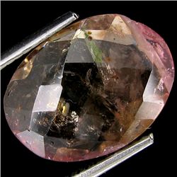 5.76ct Multi Color Watermelon Tourmaline  (GEM-19514)