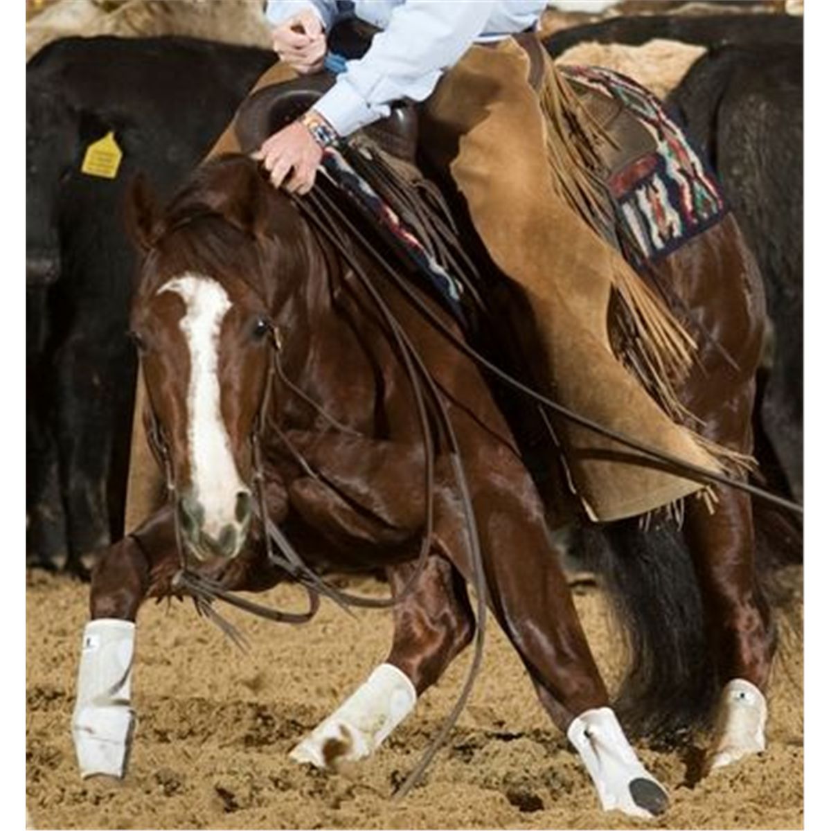 Aqha Rhinestone Rey REY DUAL - 2002 Sorrel AQHA Stallion