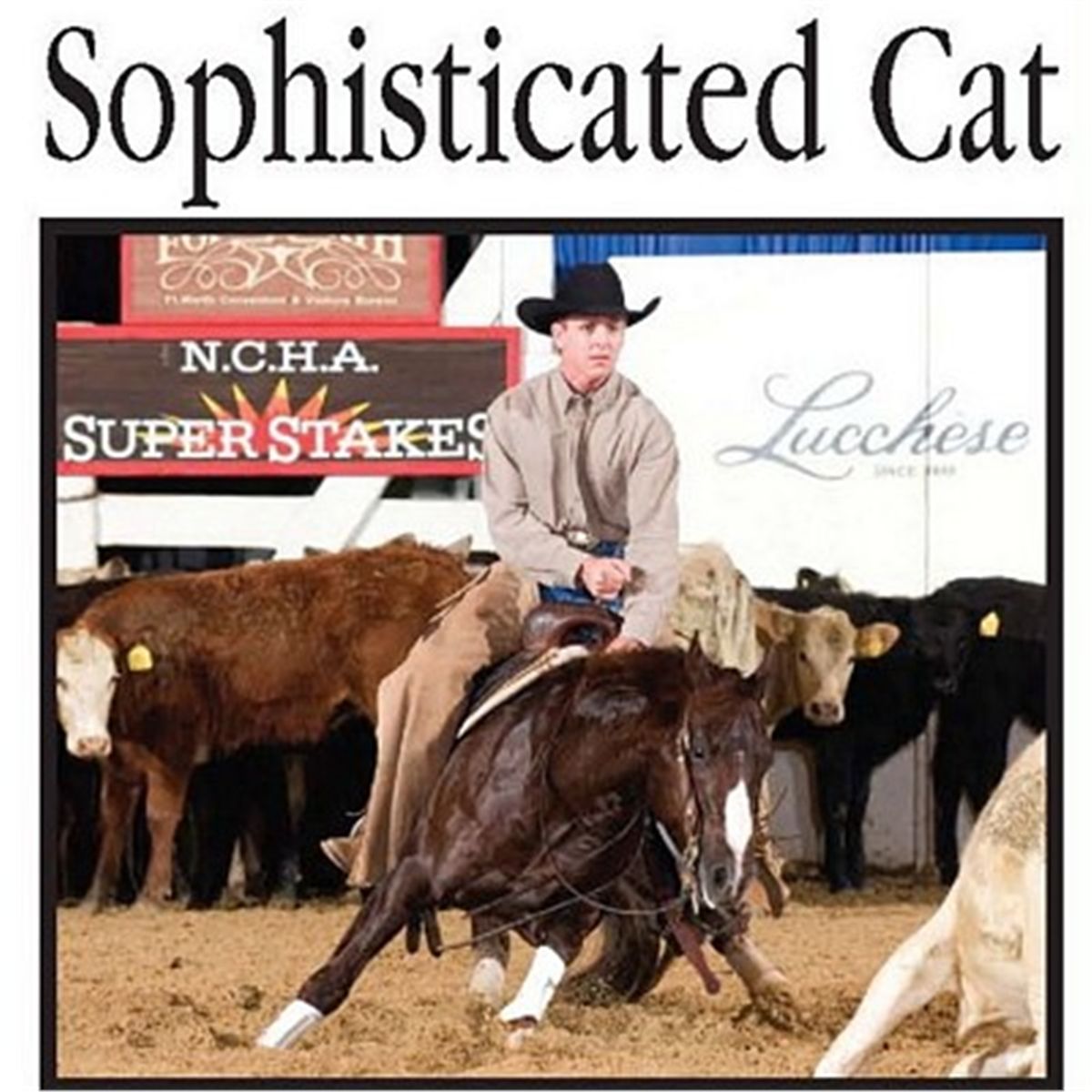 SOPHISTICATED CATT Chestnut AQHA Stallion