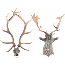 Two Faux Elk Heads