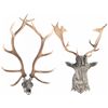Image 1 : Two Faux Elk Heads