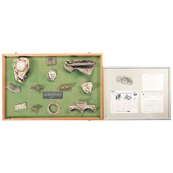 Two Displays of Aircraft Parts