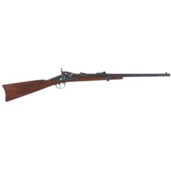 Springfield Model 1873 Carbine