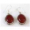 Image 1 : 7.91g Semi-Precious Stone Earrings