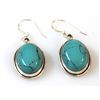 Image 1 : 7.13g Semi-Precious Stone Earrings