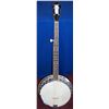 Image 1 : Vintage Silvertone BANJO