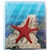 Image 1 : 2011 Australia 50 cent   Starfish   RARE in original PERTH mint box
