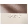 Image 3 : Shen Signed AP Print Marilyn Monroe Defying Beauty