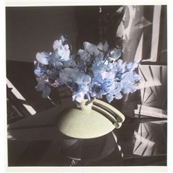 Deborah Freeman Signed Flowers Photo: Blue Sighs