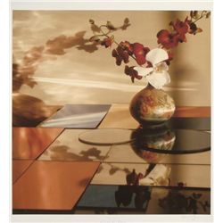 Deborah Freeman Signed Still Life Photo: Swept In Place