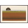 Image 1 : Willow Steve Horan Rural Tree 1976 Signed Art Print