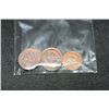 Image 1 : Lot of 10, Indian Head Pennies various dates & conditions