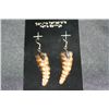 Image 1 : One Pair of Rattlesnake Rattle Hook Earrings