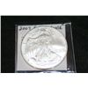 Image 1 : 2007 Silver Eagle