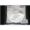 Image 1 : 2007 Silver Eagle