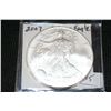 Image 1 : 2007 Silver Eagle