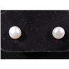 Image 2 : AKOYA PEARL NECKLACE AND EARRING SET