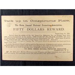 RARE 1895 REWARD POSTCARD - STOLEN HORSES - JAMESTOWN, NY