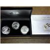 Image 1 : 2006 AMERICAN SILVER EAGLE 20TH ANNIVERSARY SET