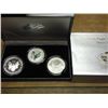 Image 2 : 2006 AMERICAN SILVER EAGLE 20TH ANNIVERSARY SET