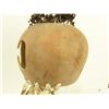 Image 4 : Hawaiian Gourd Mask