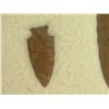 Image 7 : Artifact Collection